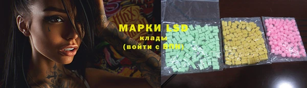 гашик Зеленокумск
