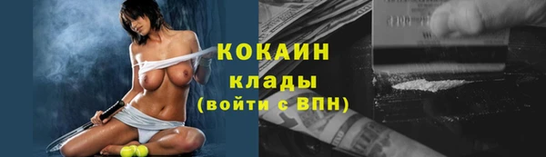 гашик Зеленокумск