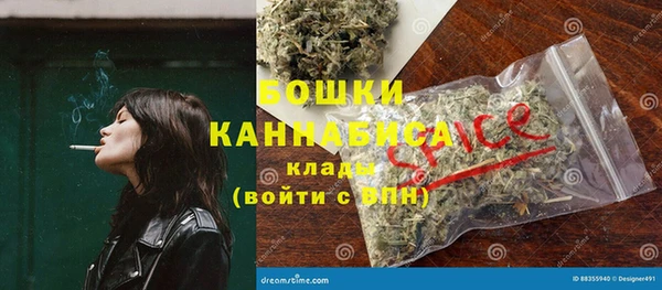 гашик Зеленокумск