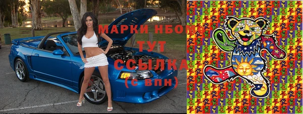 гашик Зеленокумск