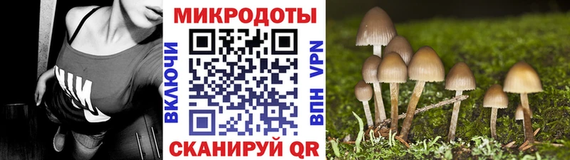 Галлюциногенные грибы GOLDEN TEACHER Ивангород